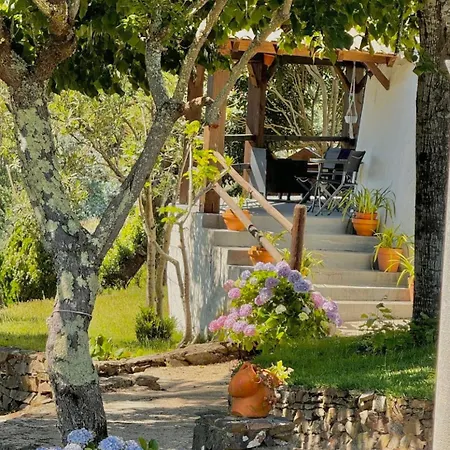 O Moinho De Vale Da Mo *