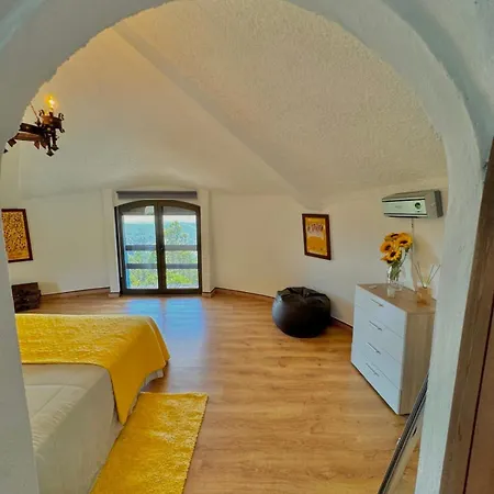 O Moinho De Vale Da Mo