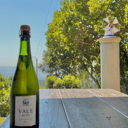 Prázdninový dům O Moinho De Vale Da Mo Anadia