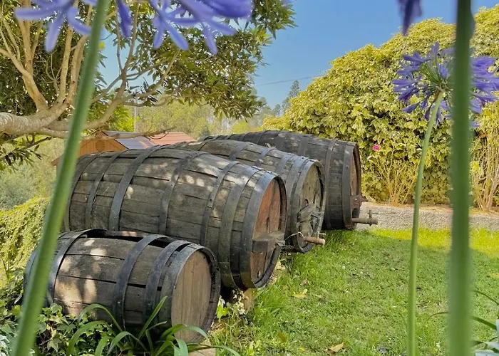 בית נופש O Moinho De Vale Da Mo