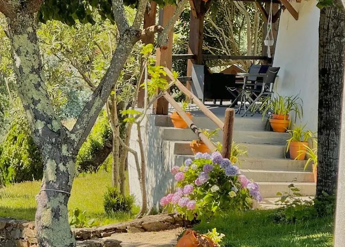 O Moinho De Vale Da Mo *