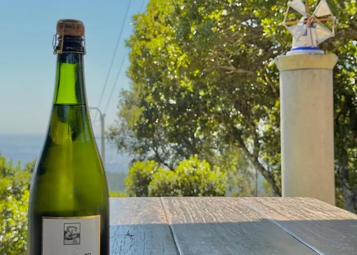 別荘 O Moinho De Vale Da Mo アナディア